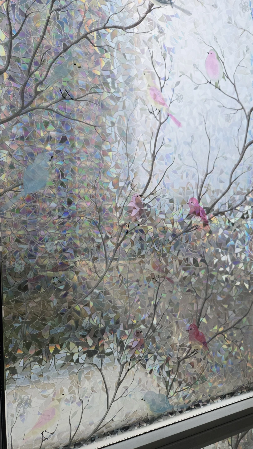 Static Window Privacy Films with Bird Design - photo 3