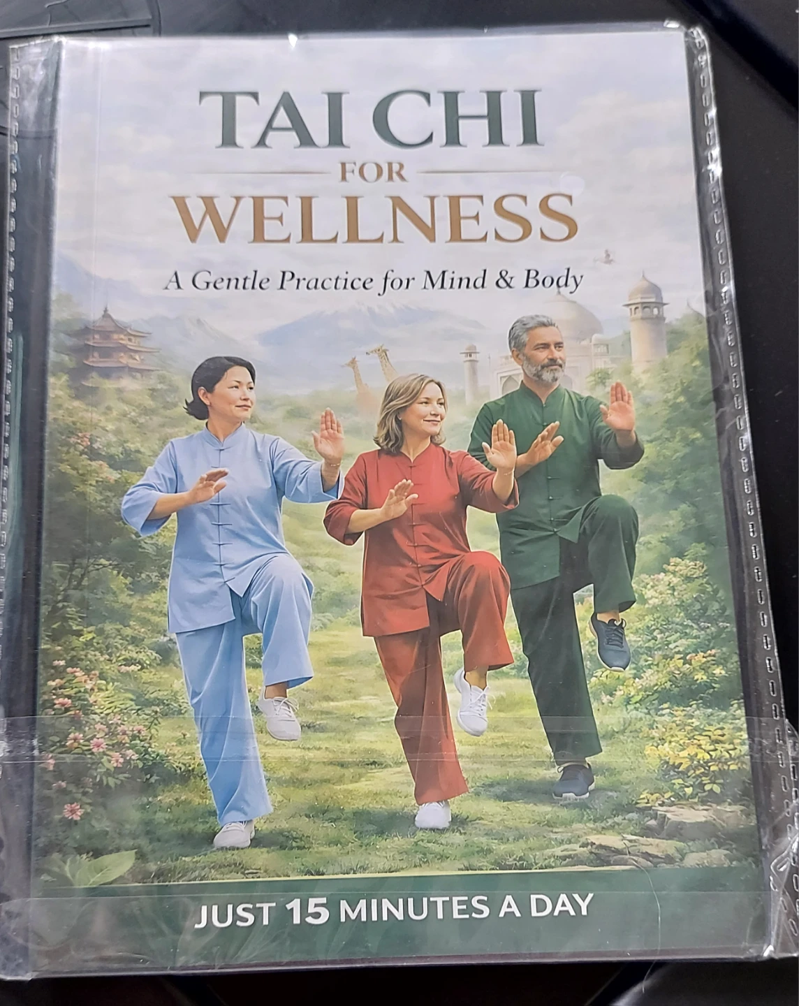 Tai Chi for Wellness Book