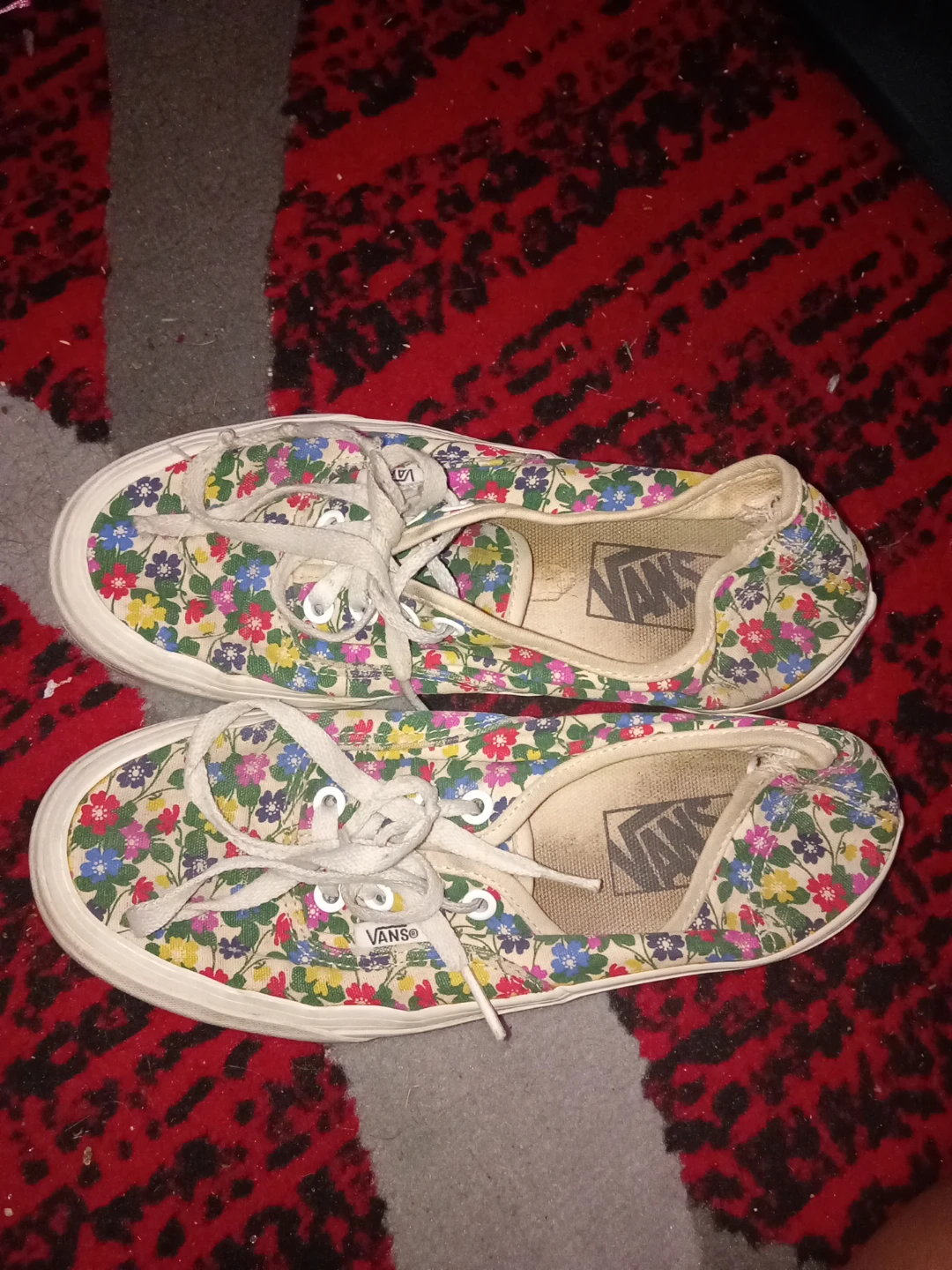 Vans Floral Pattern Canvas Shoes