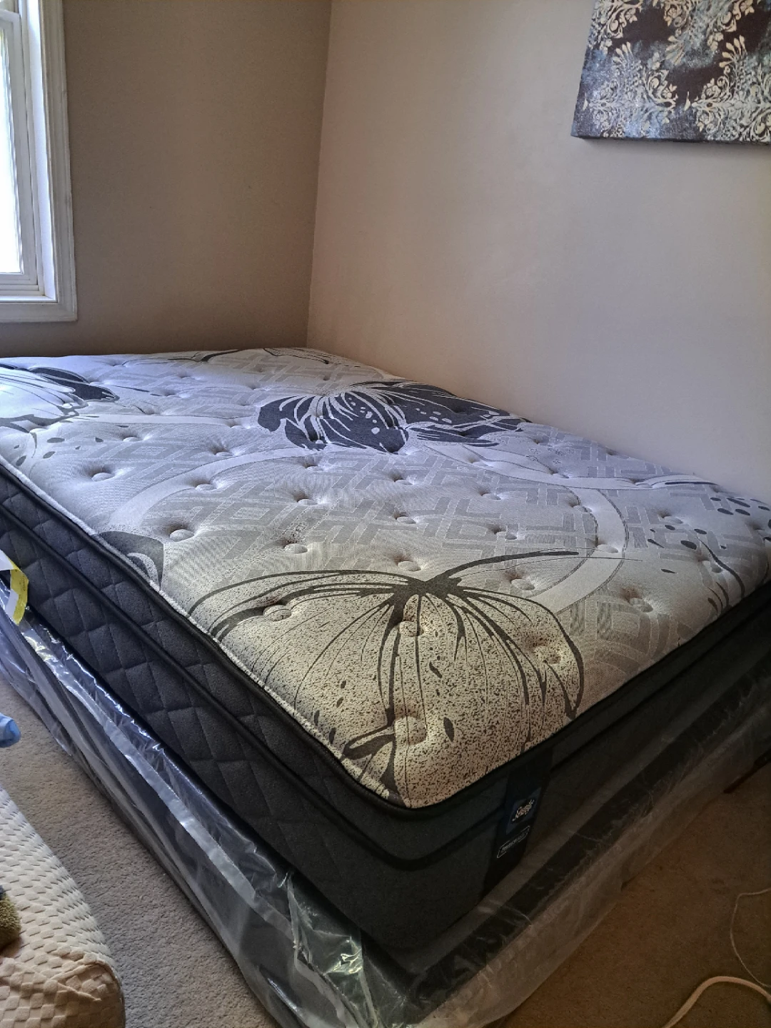 Sealy Mattress