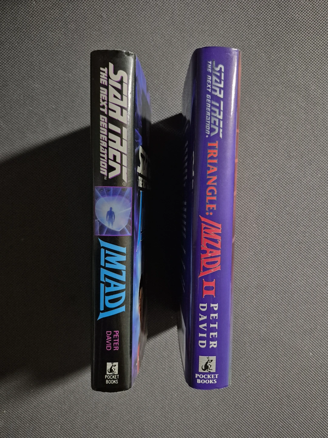 Star Trek: TNG Imzadi 1 & 2 (1st Edition - HC) - photo 3