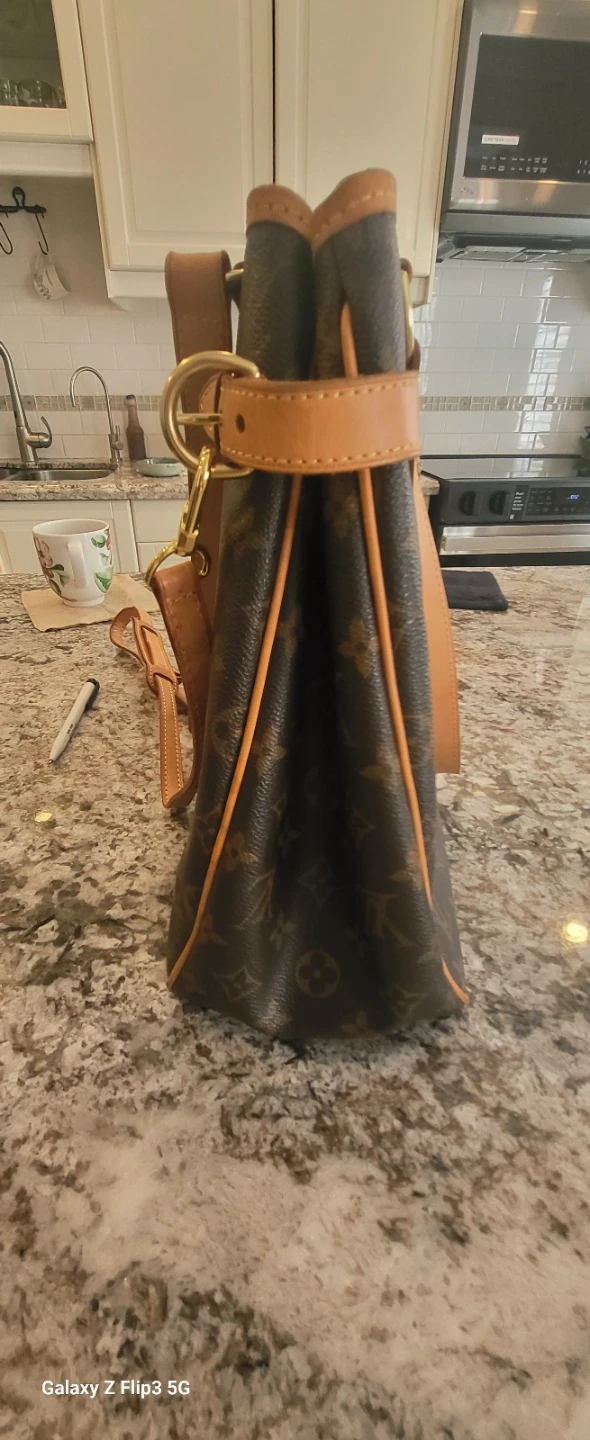 Louis Vuitton Monogram Leather Tote Bag - photo 4
