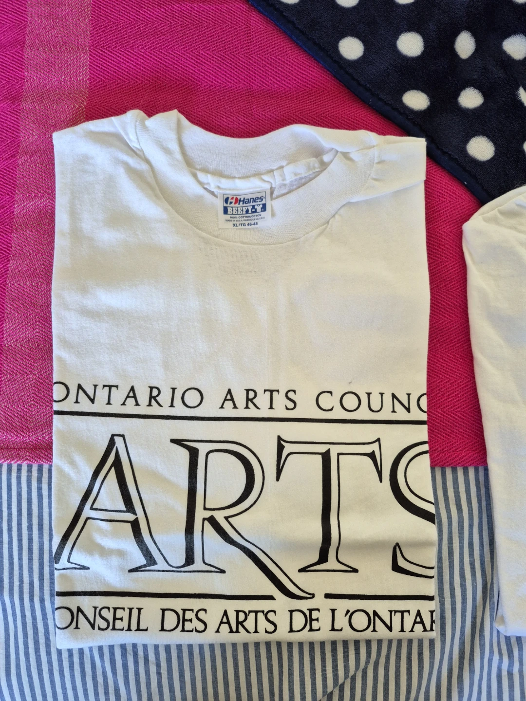 NEW Vintage T-Shirt: Ontario Arts Council (100% Cotton) Hanes