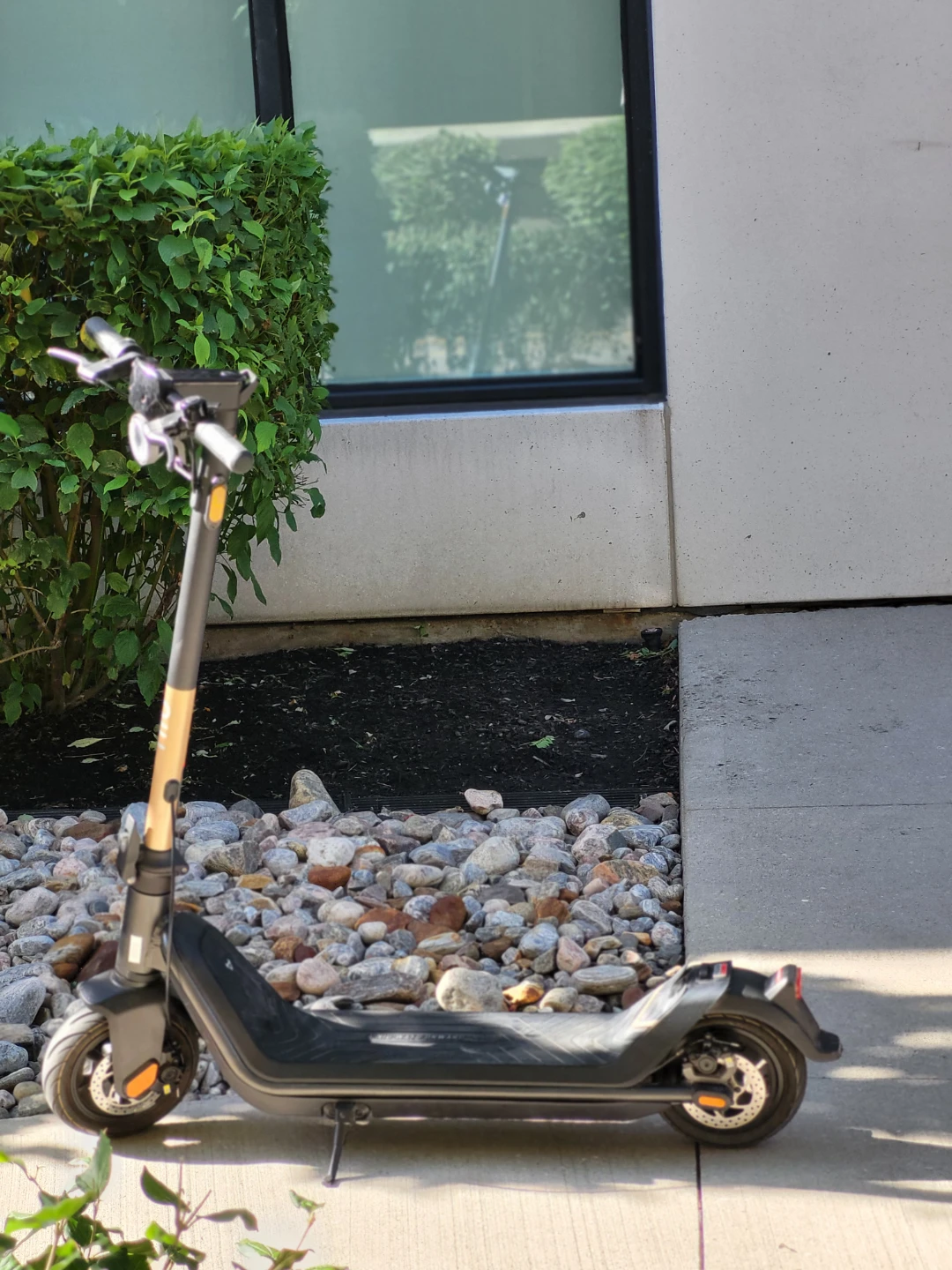 NIU Electric Scooter - photo 2