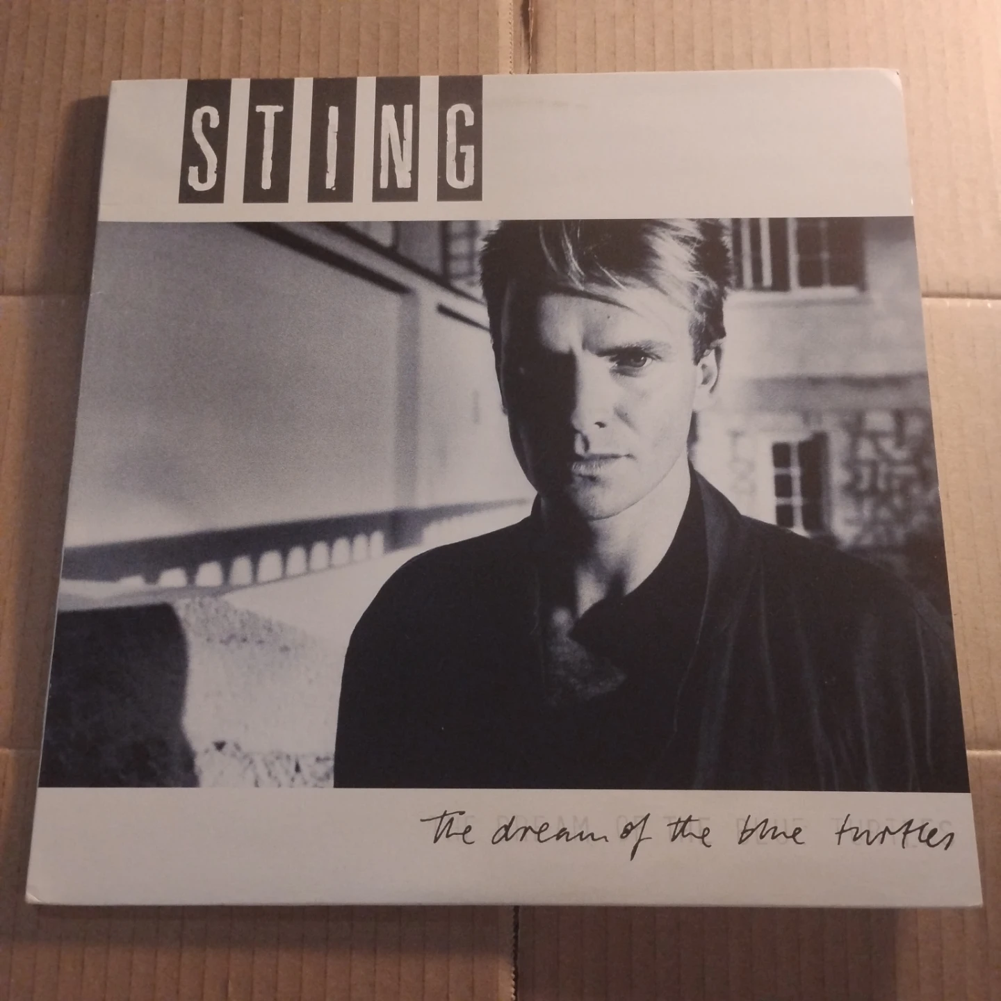 Sting The Dream of the Blue Turtles Vinyl Record