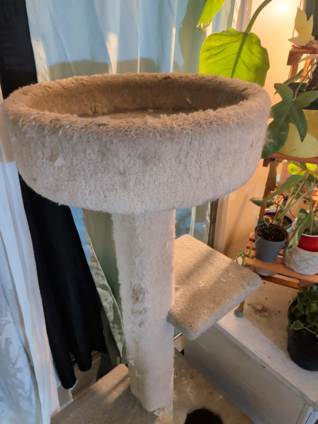 Beige Carpeted Cat Tree - photo 5