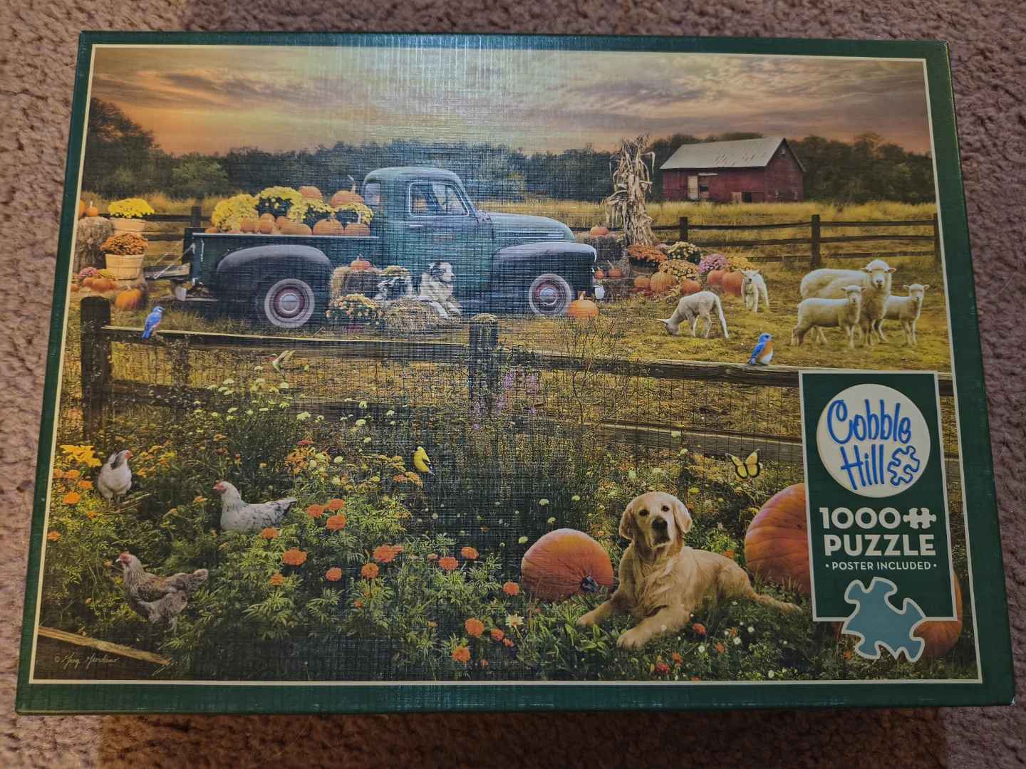 Cobble Hill 1000 Piece Jigsaw Puzzle 🏈