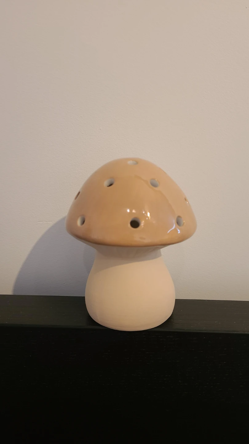 Ceramic Mushroom