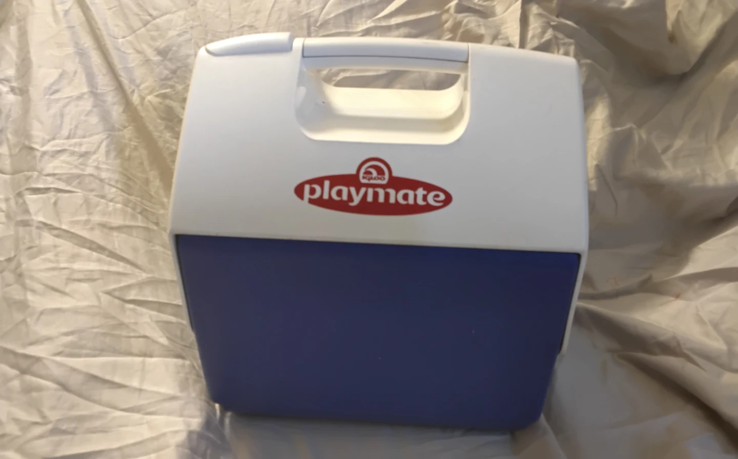 Igloo Playmate Cooler🏈