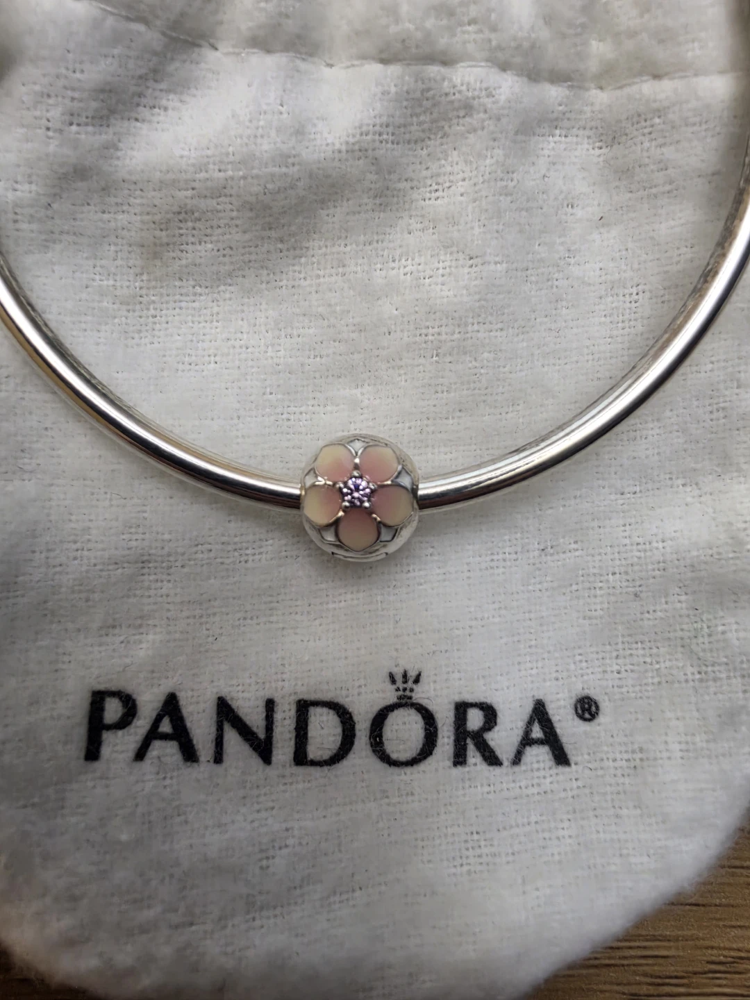 Brand New Pandora Moments Bangle Bracelet with one Charms - photo 3