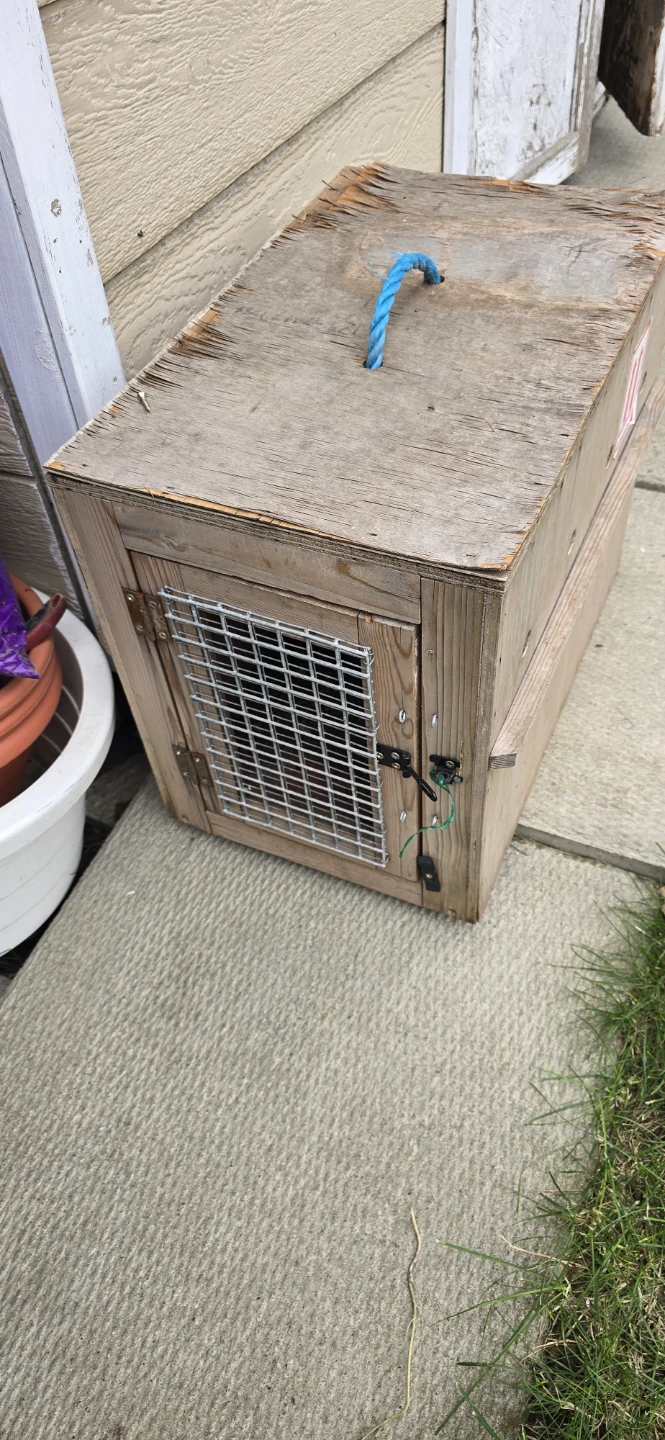 Handmade Wooden Pet Crate - photo 2