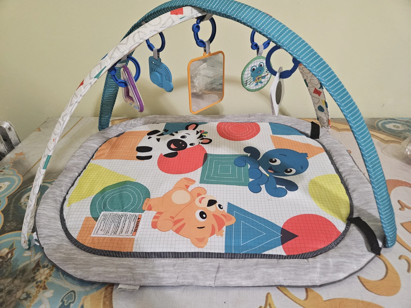 Baby Einstein Activity Play Mat