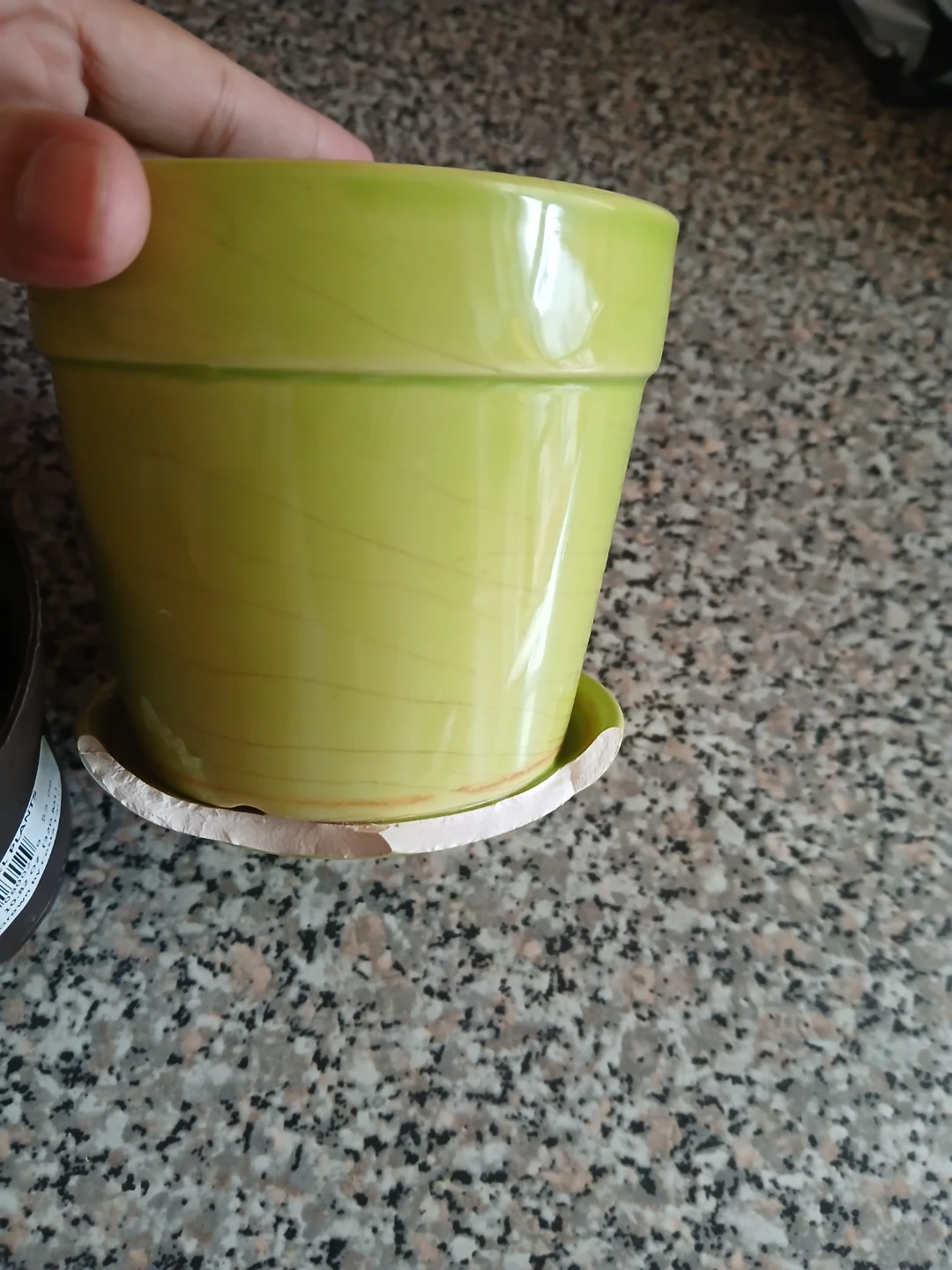 Green Ceramic Plant Pot with Tray