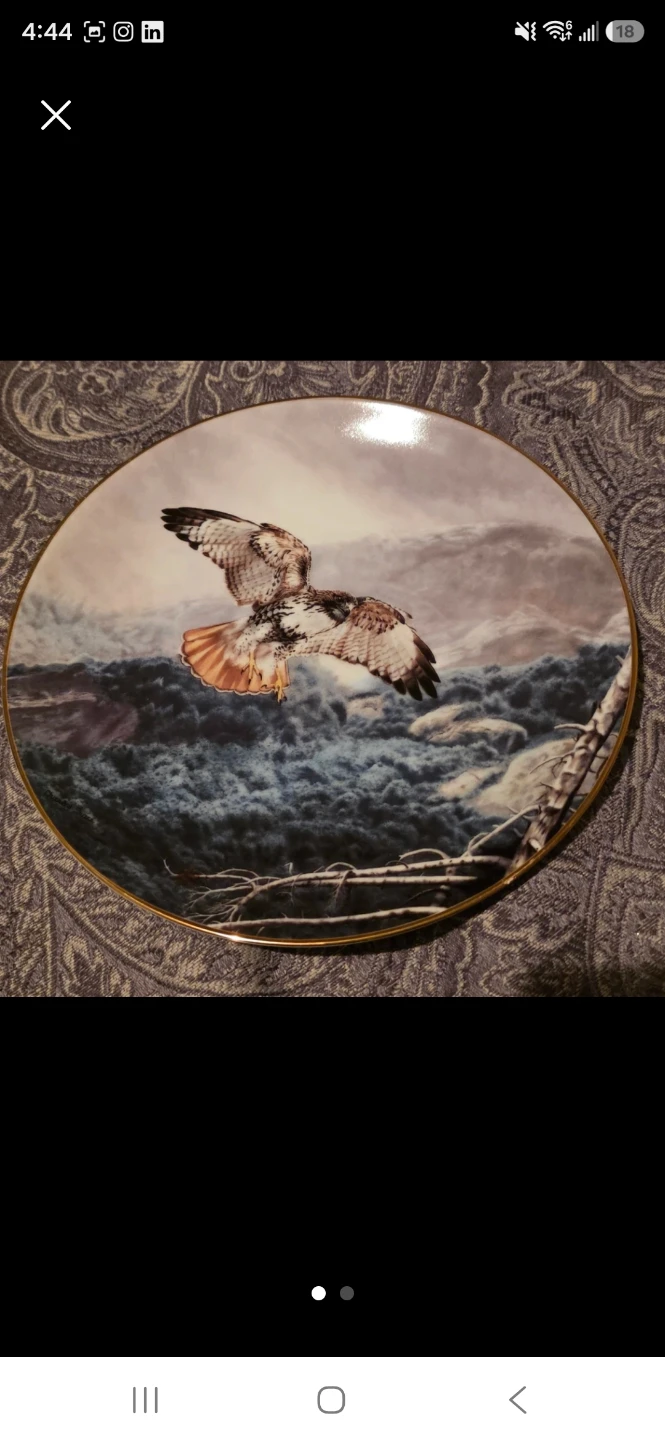 Collector's Edition Decorative Plate with Bird Art - photo 4