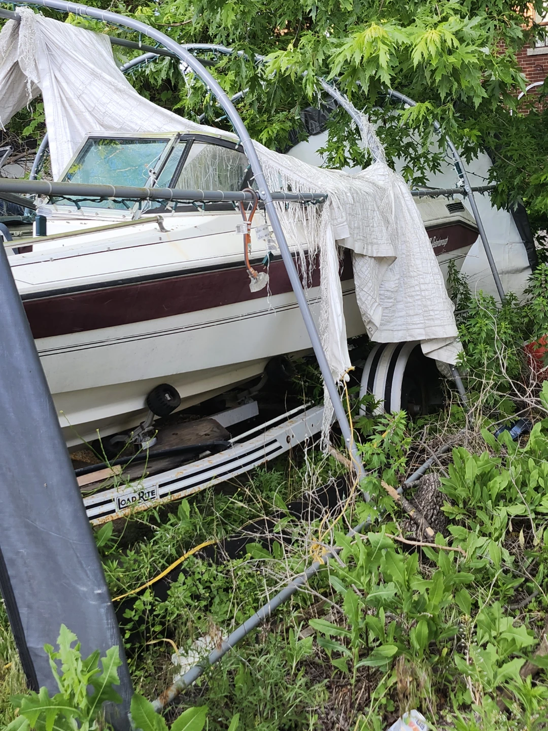 Pending-Peterborough Boat on Load Rite Trailer