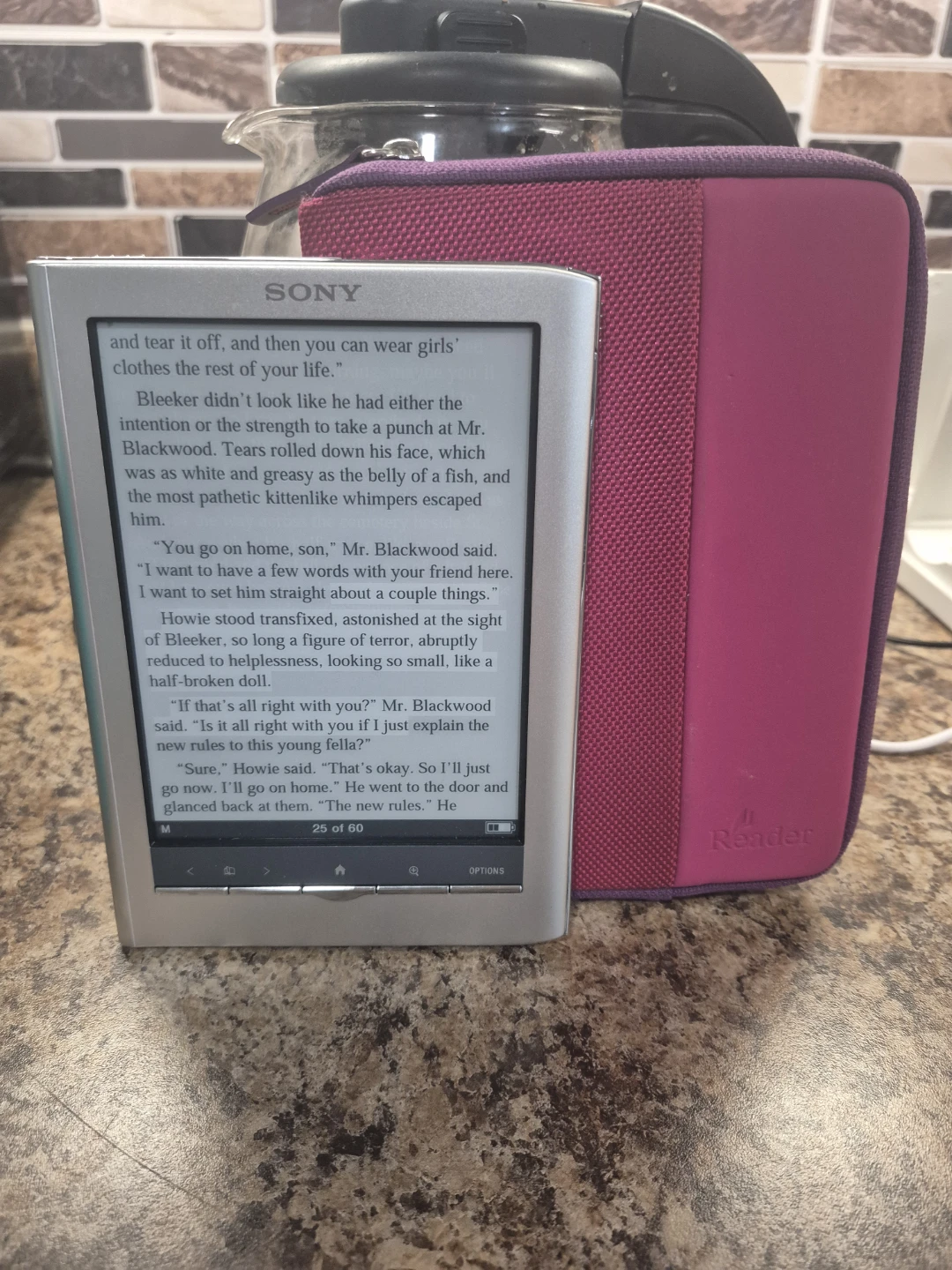 Sony Reader Digital Book