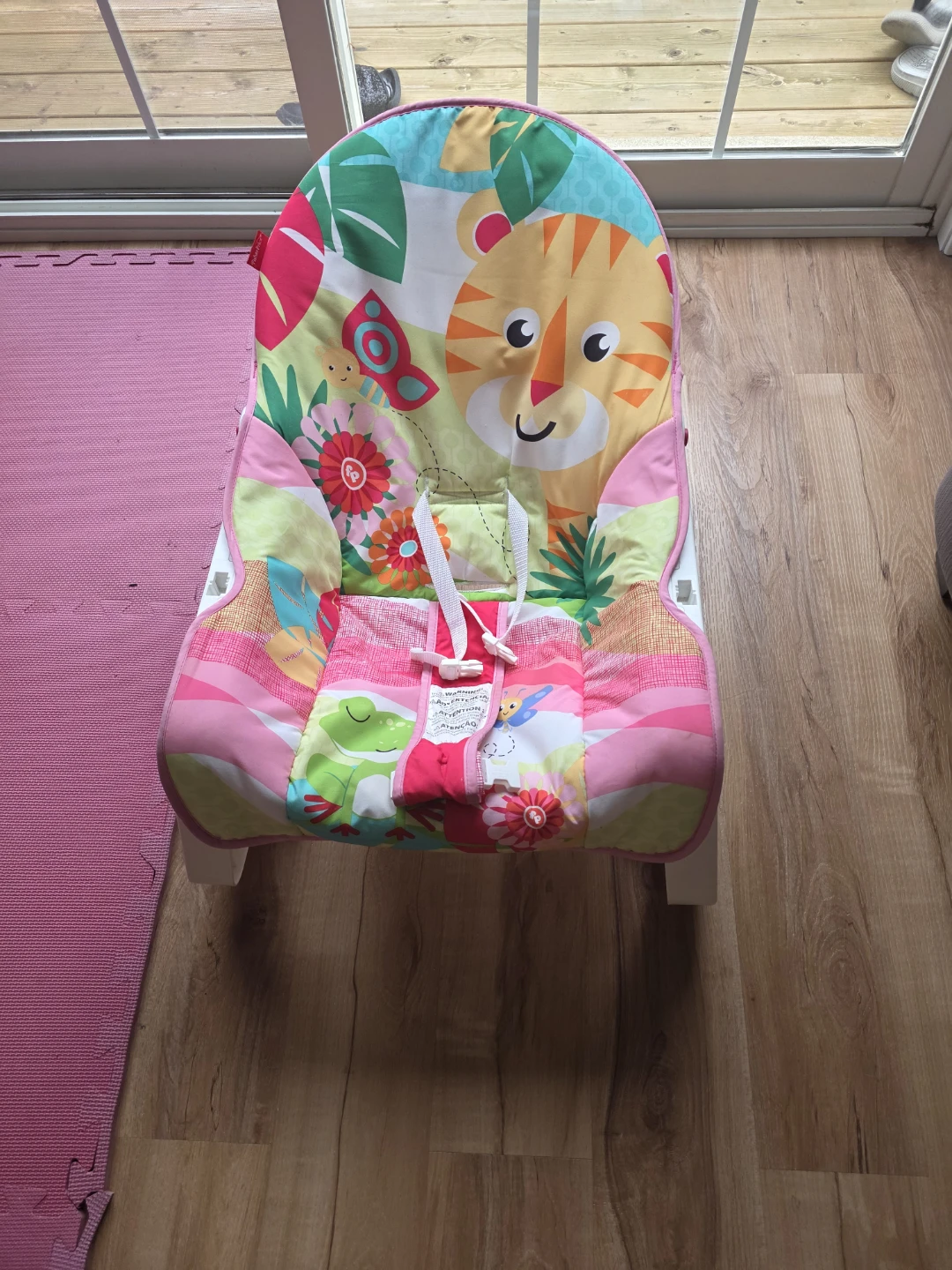 Fisher-Price Baby Bouncer