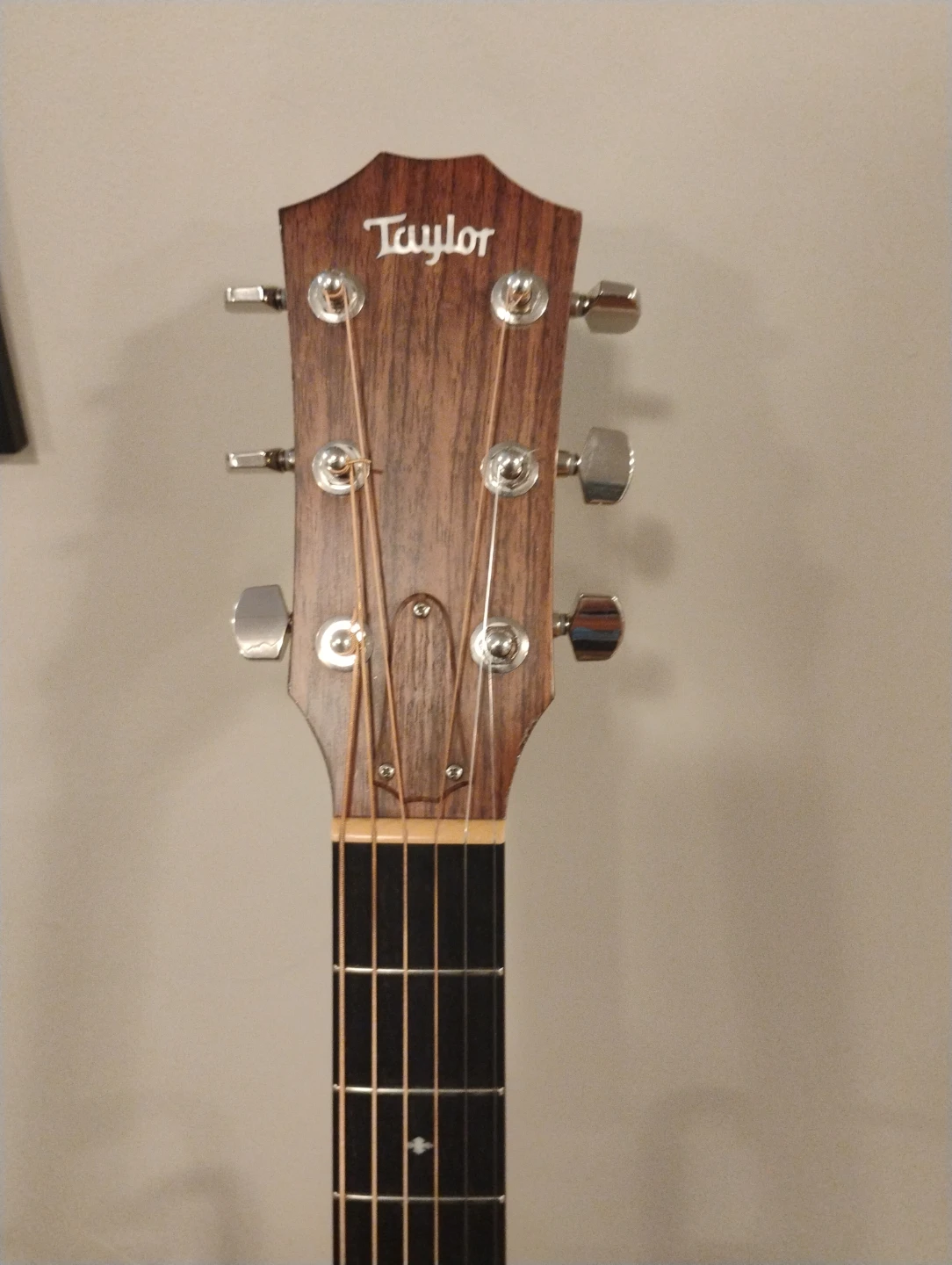 Taylor 314ce Acoustic-Electric Guitar - photo 3