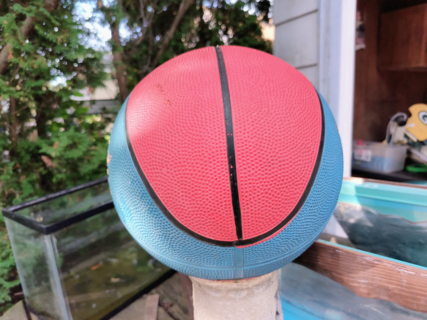 Used Basketball solid filled wir air six flags - photo 3