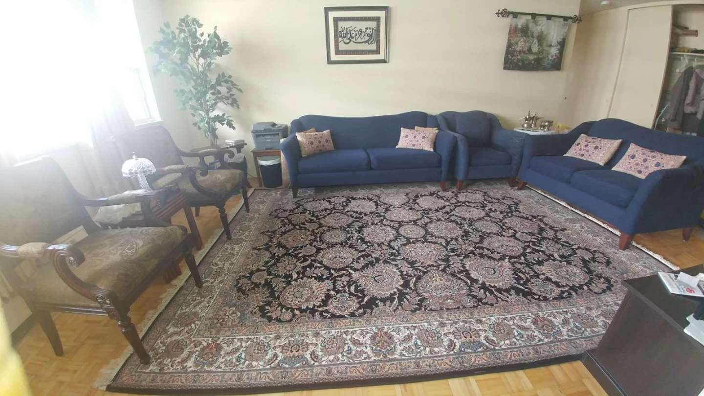 Large Persian Style Area Rug