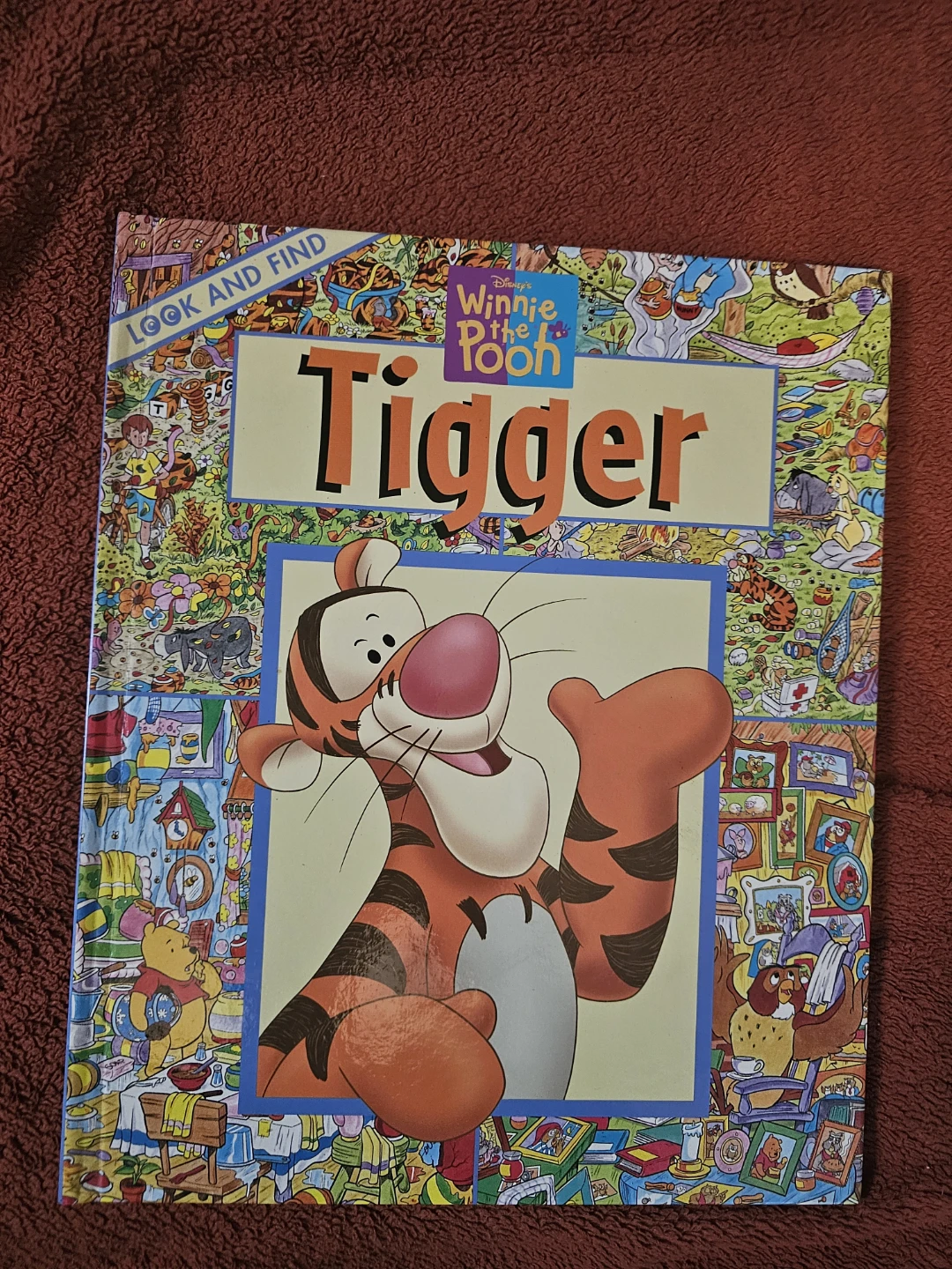 Disney Winnie the Pooh Tigger Look and Find Book
