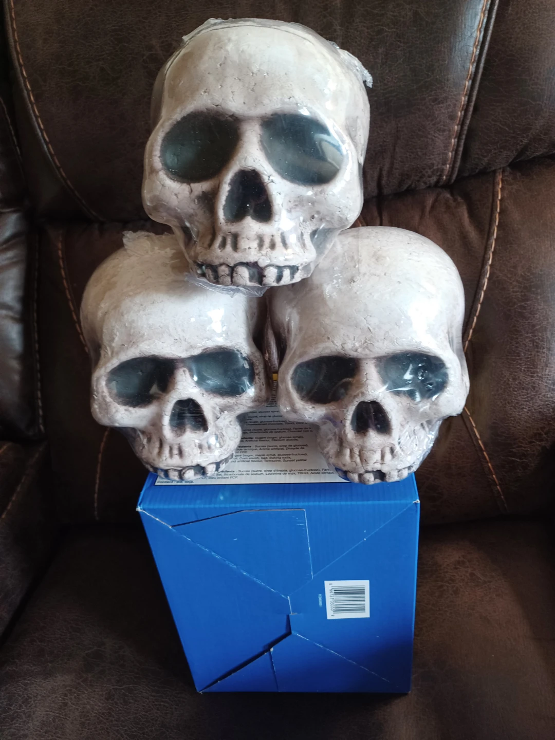 Halloween Skull Decorations