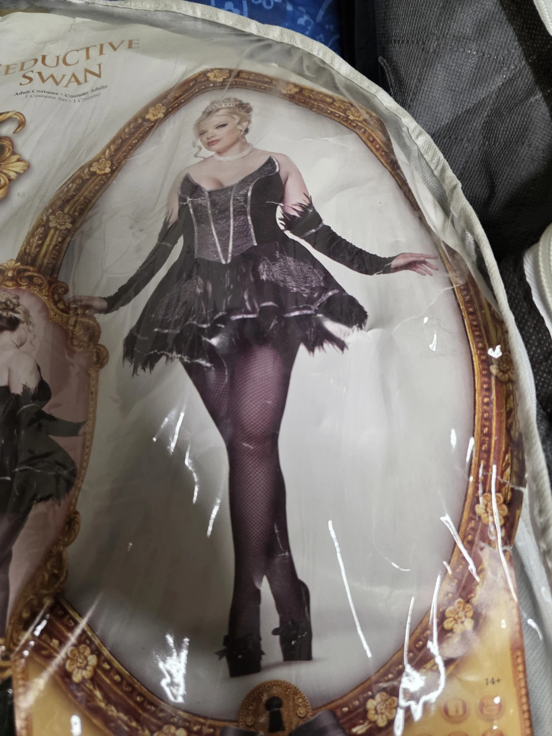 Seductive Swan Adult Costume