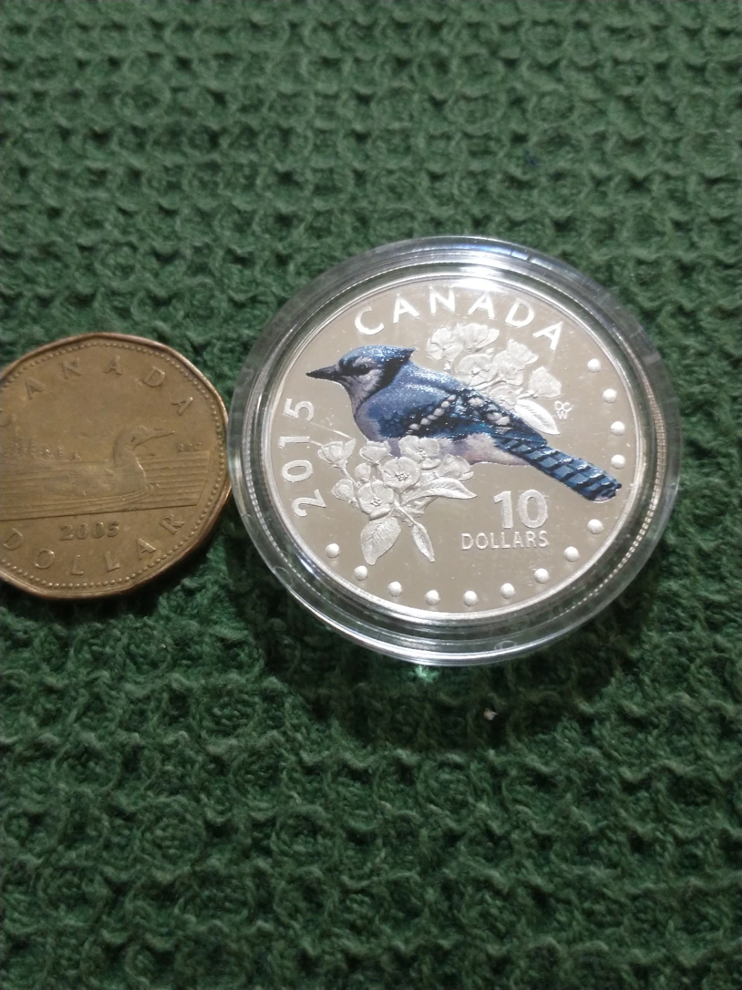 2015 Canadian Blue Jay 10 Dollar Silver Coin - photo 3