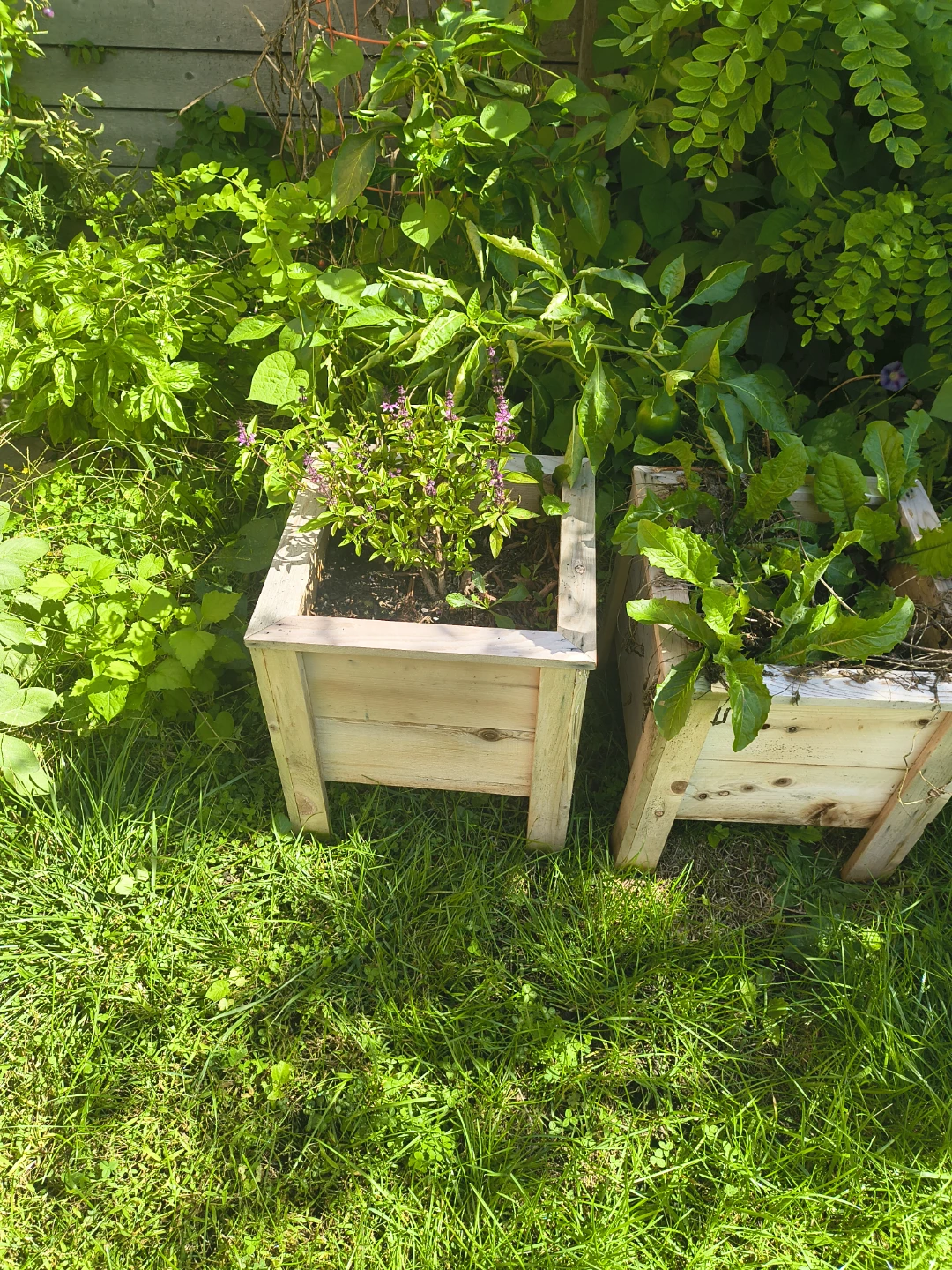Raised planters - photo 2