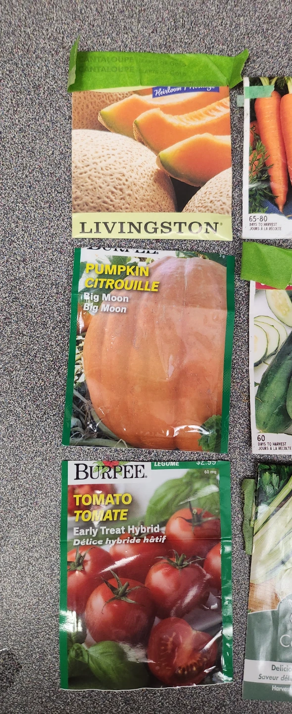 Assorted Vegetable and Flower Seeds Collection - photo 2