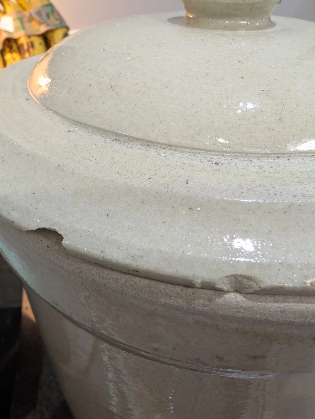 Vintage Medalta Potteries 2 Gallon Stoneware Crock - photo 5