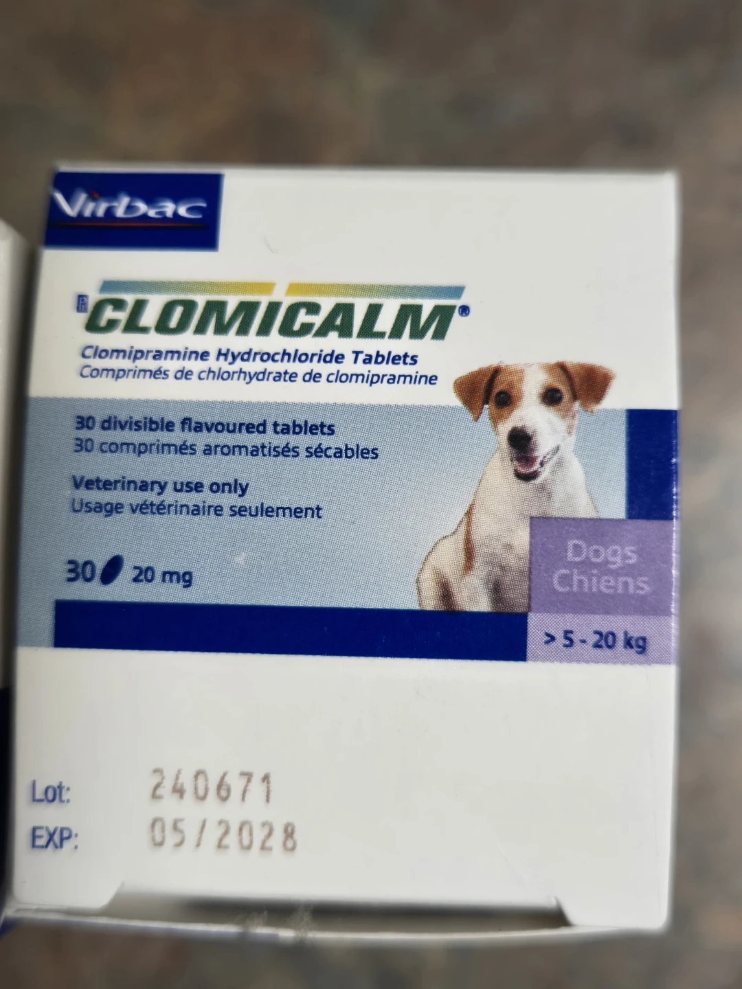 Clomicalm for Dogs