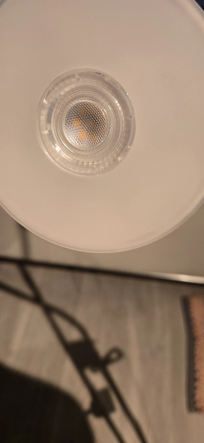 Dual Light Floor Lamp - photo 5