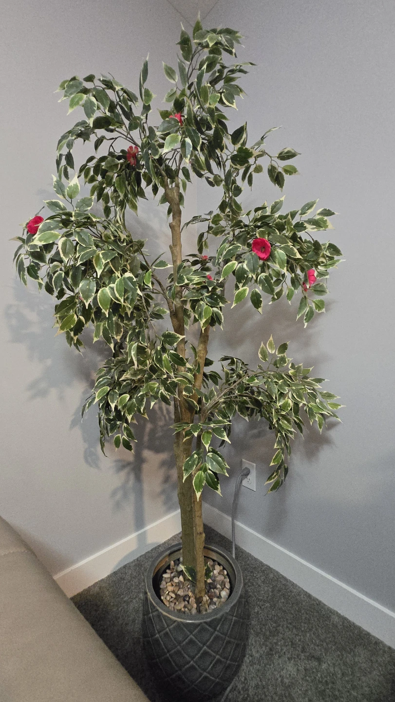 Artificial Ficus Tree