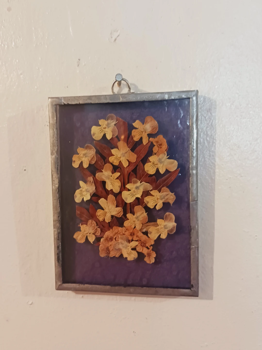 Miniature Pressed Flower Wall Art in Metal Frame
