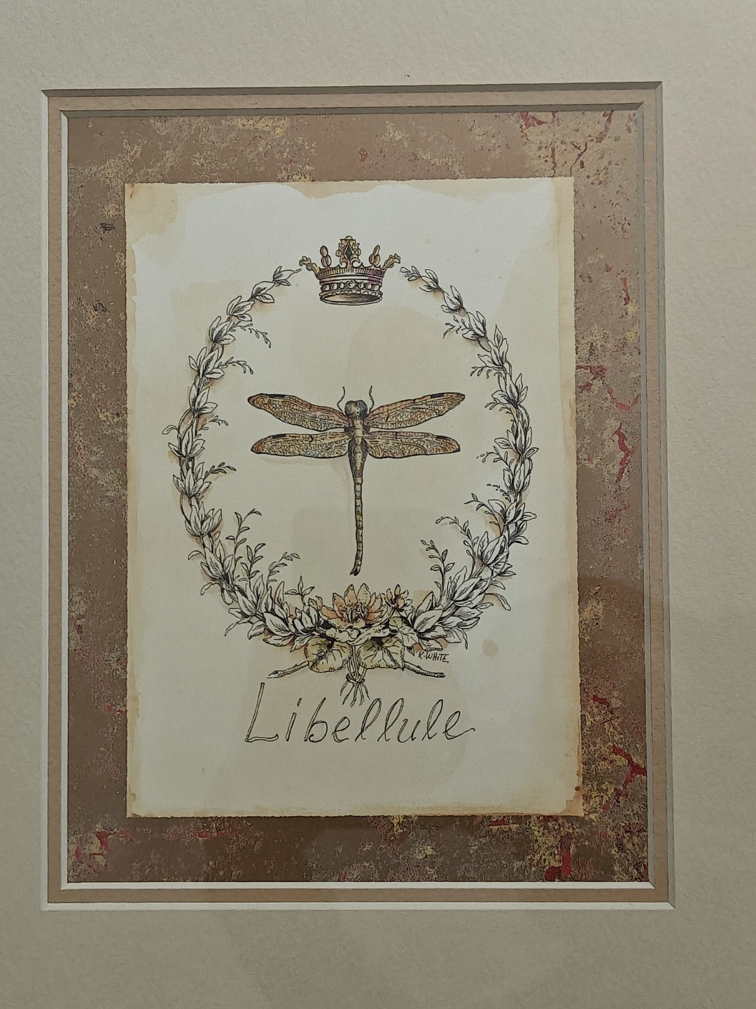 Pair of Framed K. White Framed Art Prints - Tortue and Libellule - photo 2