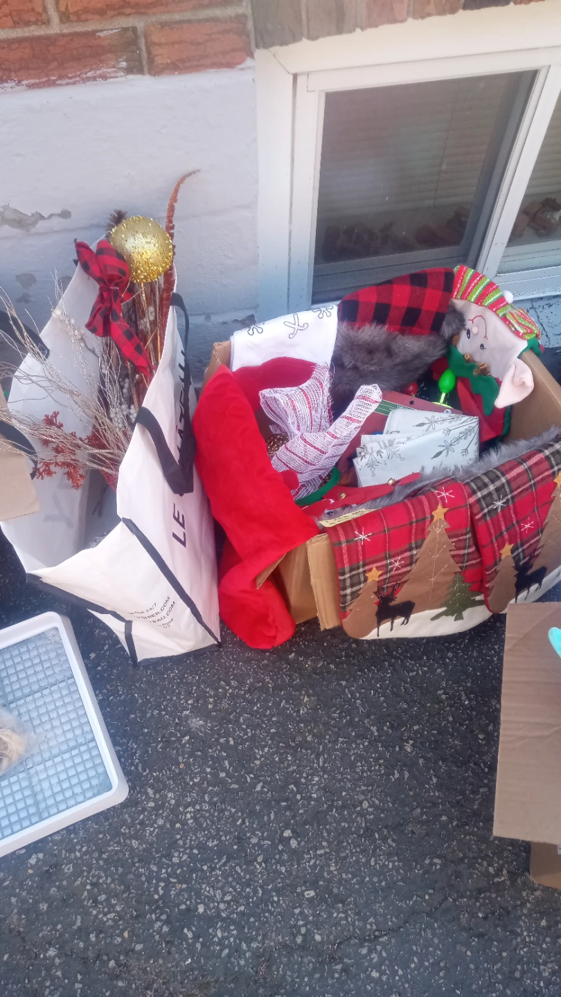 Assorted Christmas Decor and Holiday Pillows - photo 2