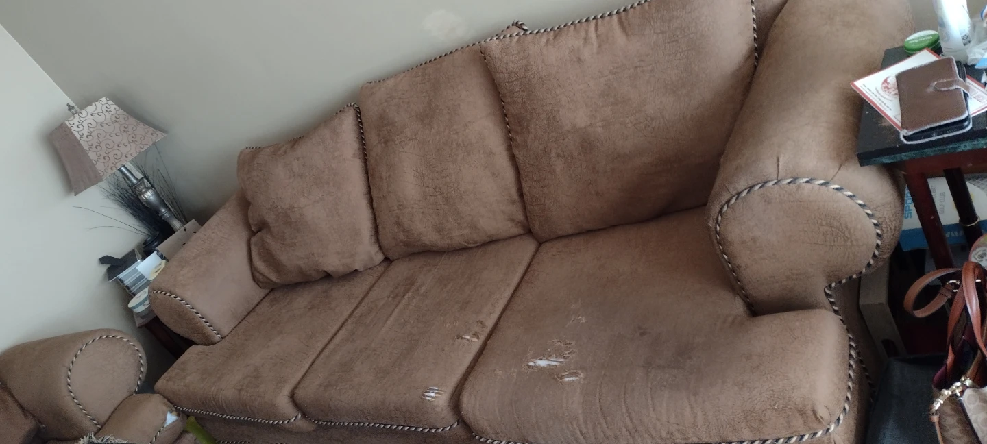 Couch,  loveseat,  chair set : FREE - photo 4