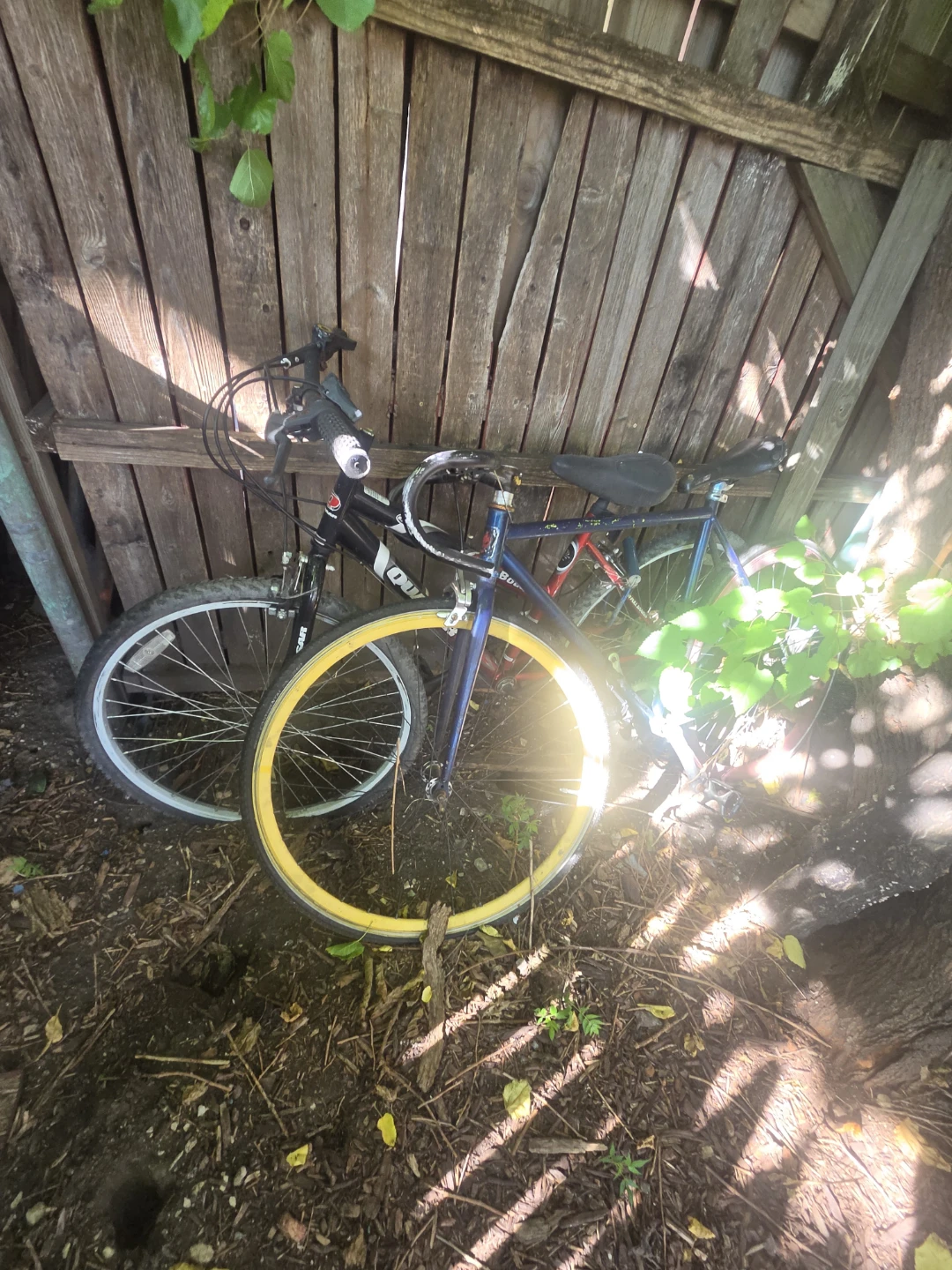 Old bike(s)
