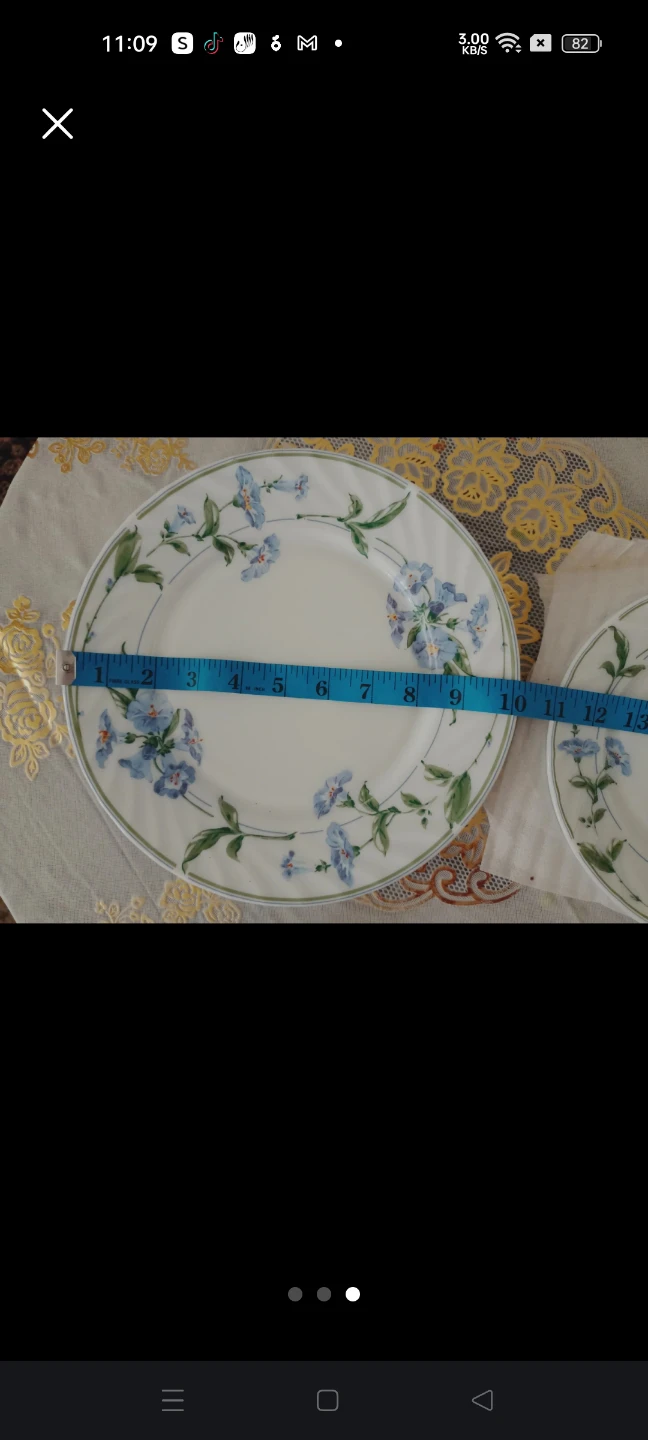 Set of Floral Pattern Plates🏈 - photo 3