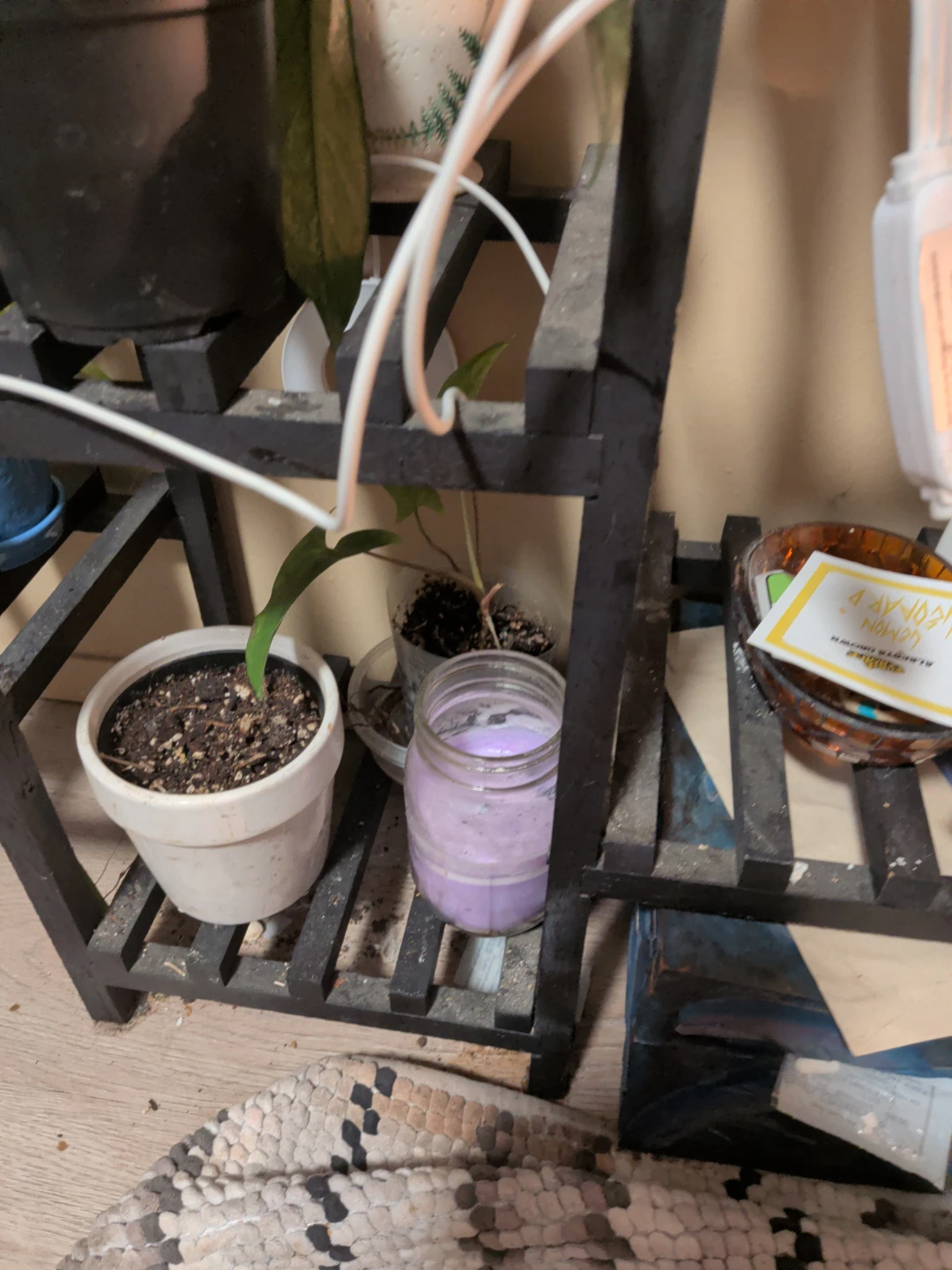 Black Multi-Tiered Plant Stand - photo 3