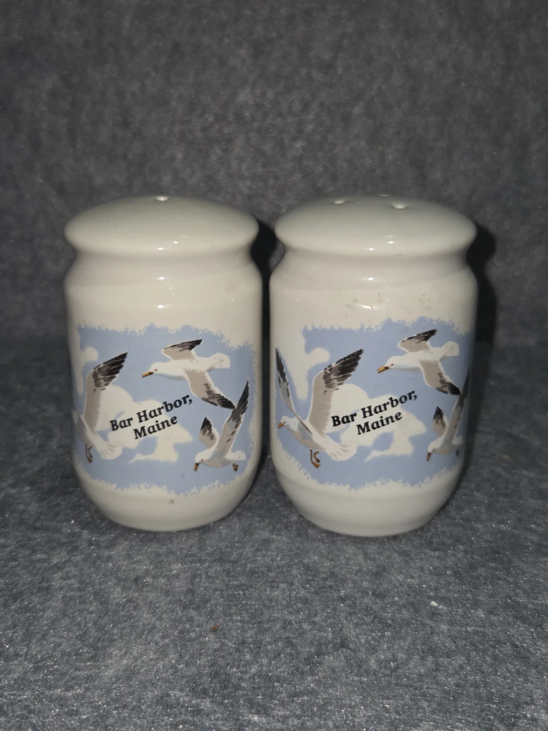 Bar Harbor Maine Ceramic Salt and Pepper Shakers