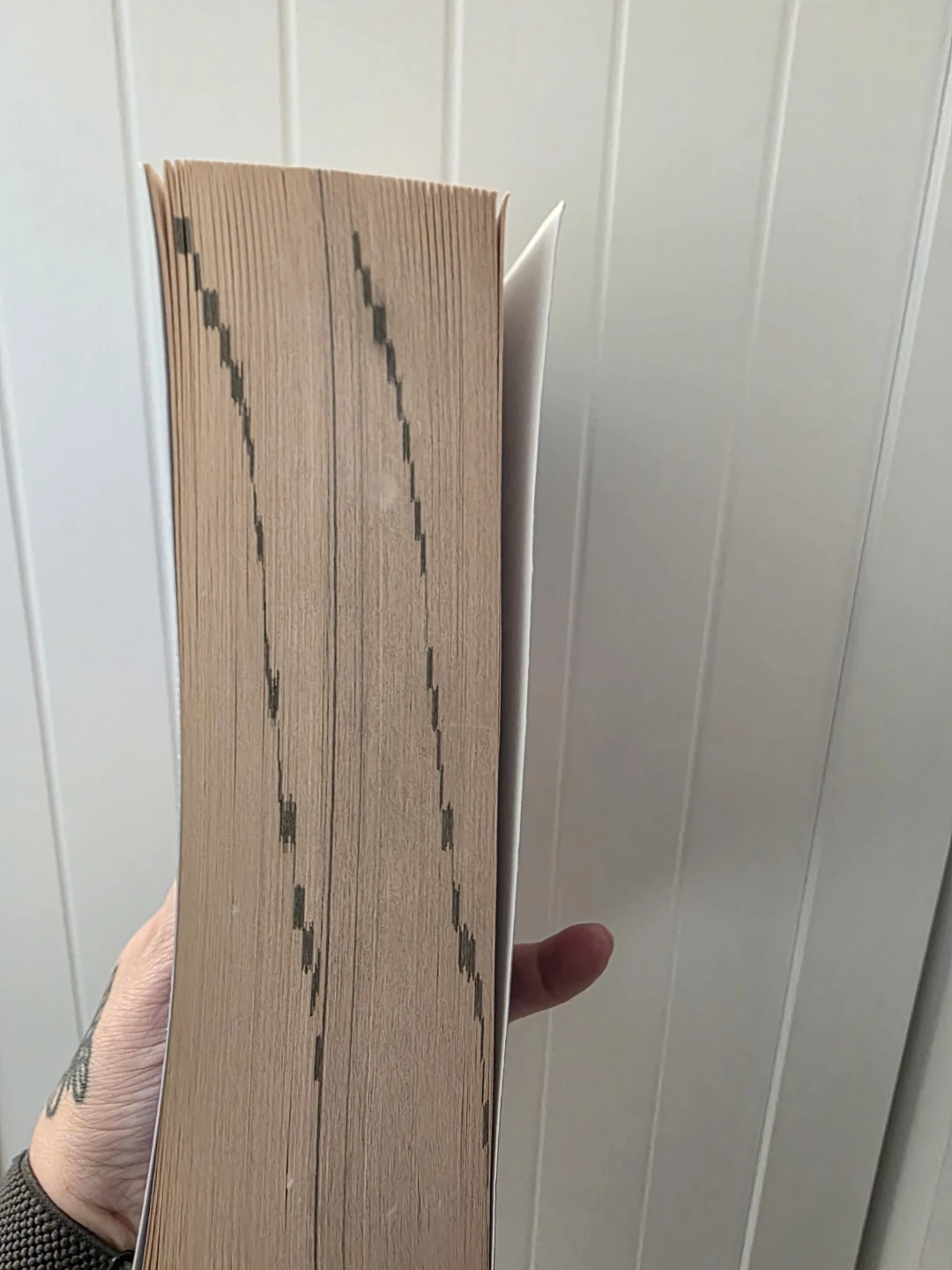 Collins French English dictionary - photo 2