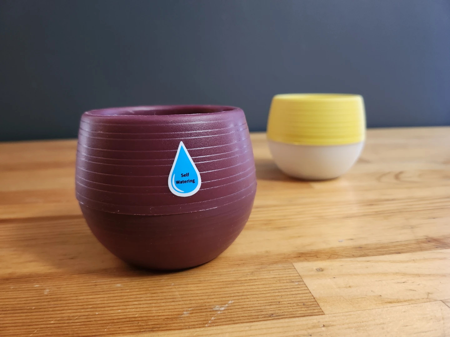 Self-Watering Planter Pots Yellow/Maroon- (Set of 2) - photo 4