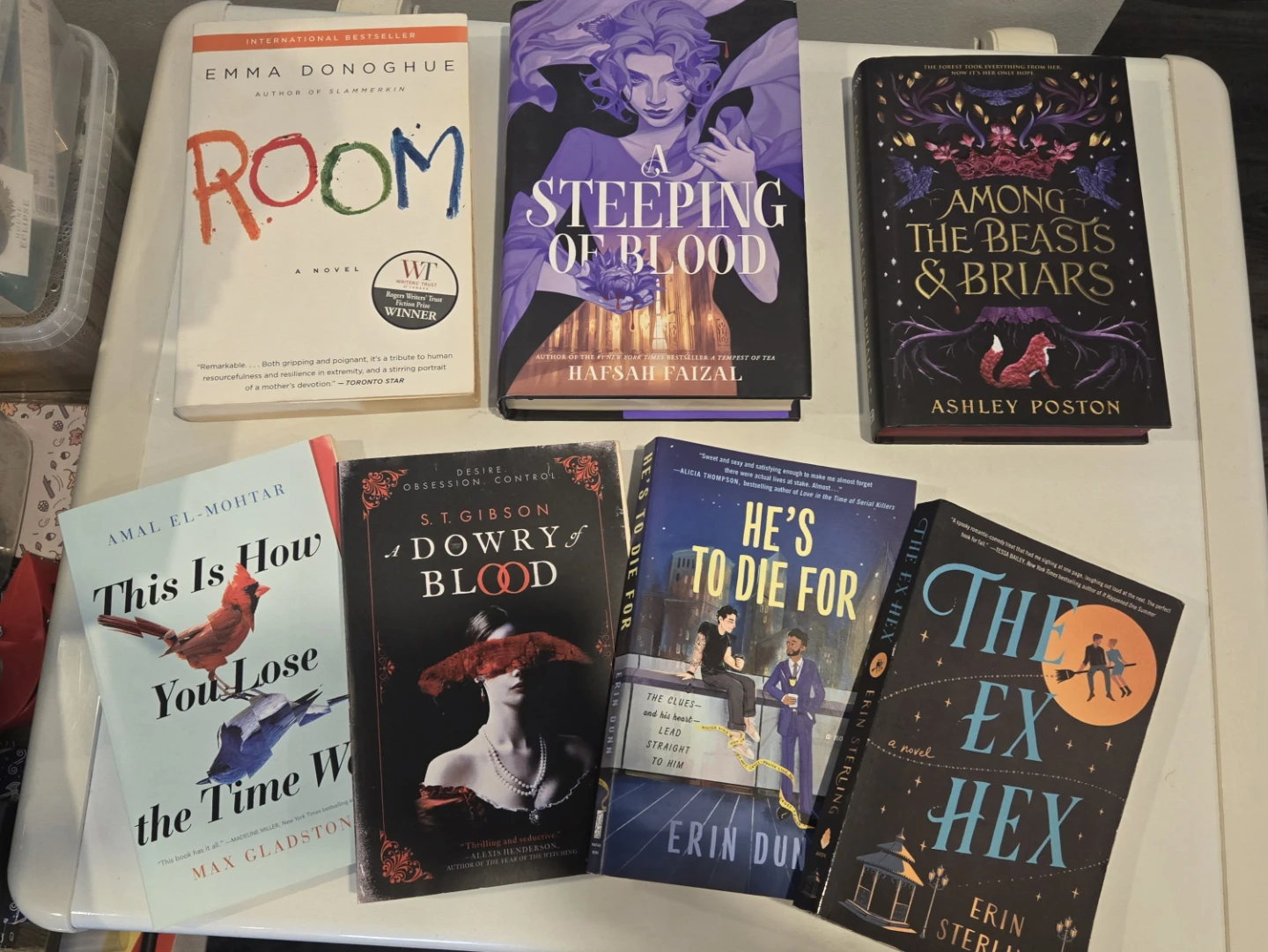 YA/Fantasy Book Sale - photo 4