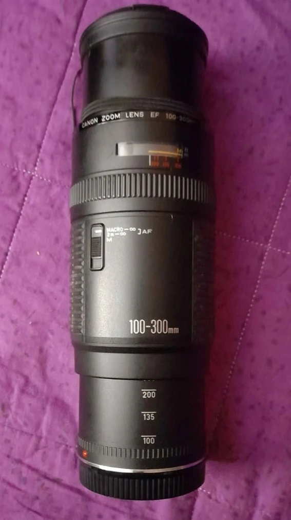 Canon Zoom Lens EF 100-300mm