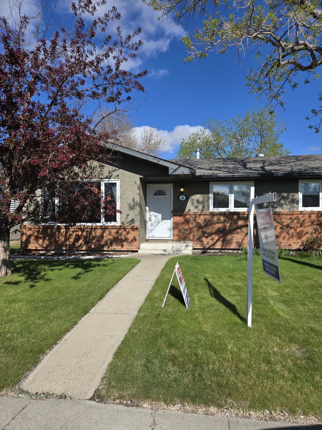 3 bedroom house for rent