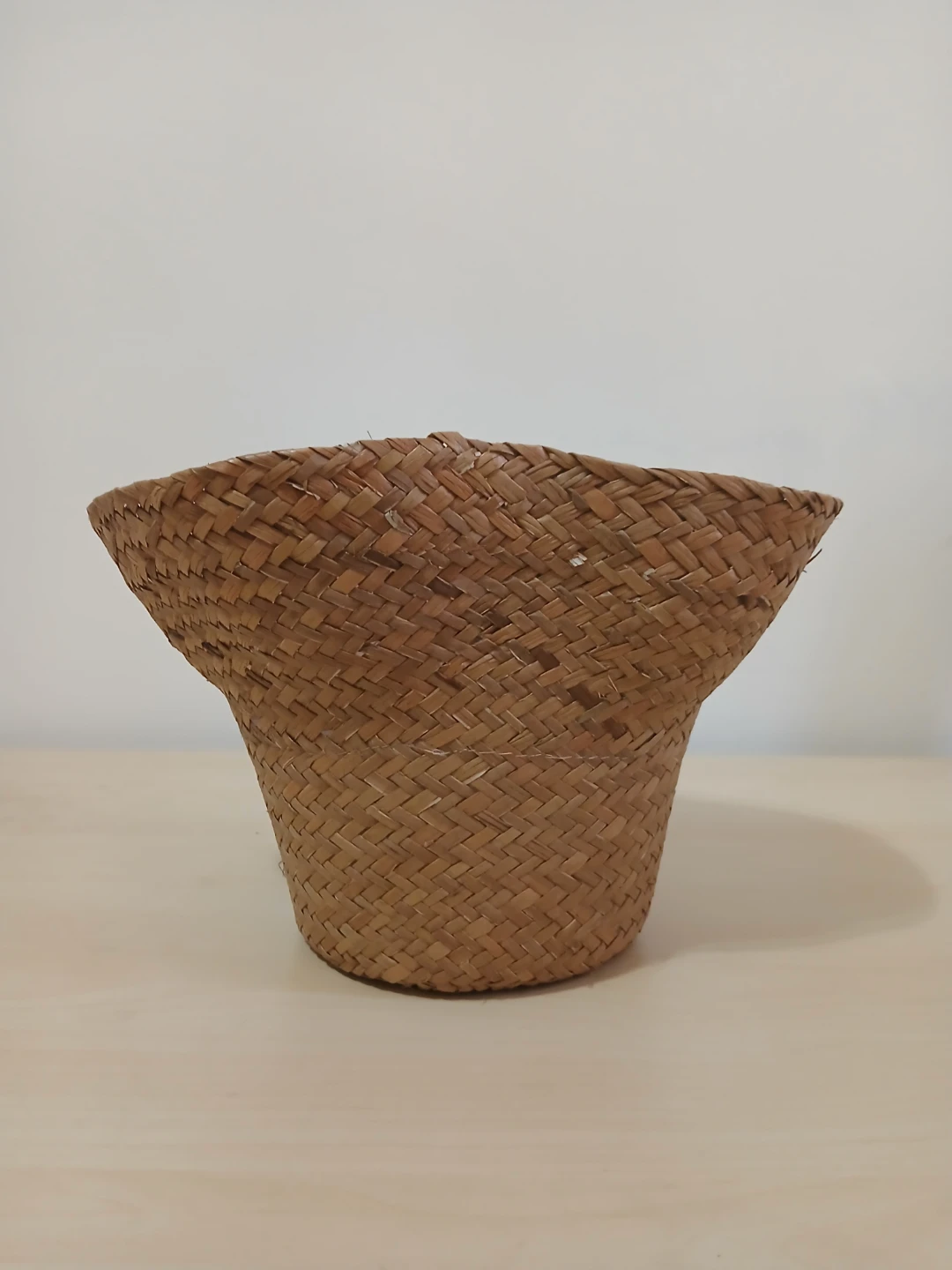 Woven Straw Plant Basket🏈