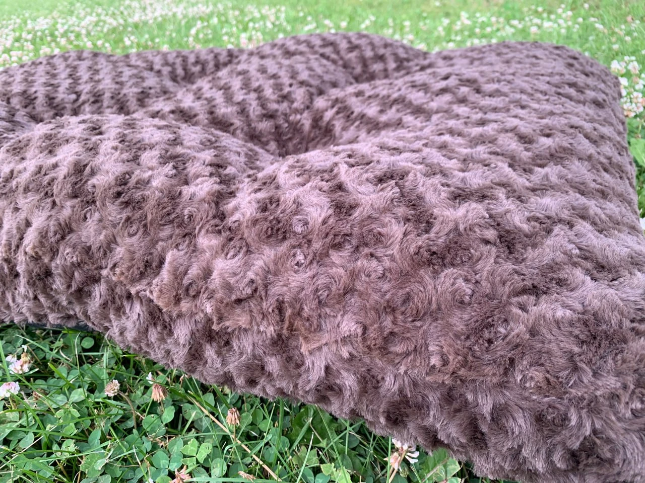 NEVER USED!!  Bailey & Bella Dog Mat - photo 2