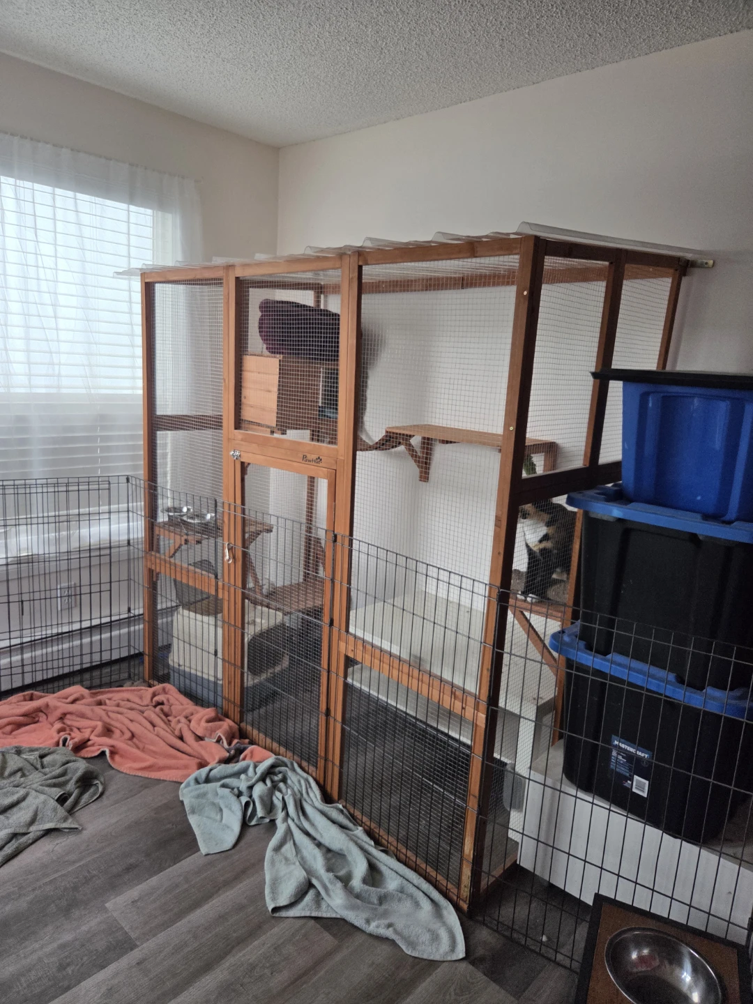 Wooden Cat Enclosure with Multi-Level Platforms